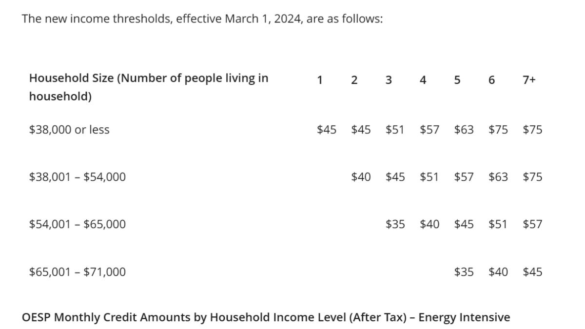 Low Income Energy Assistance Program - Dixie Bloor